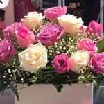 Box Mélange De Rose Et Blanc