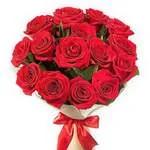 20 Roses Rouges
