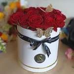 Box Elegance