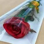 1 Rose Cute