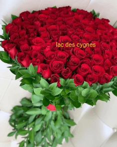 Bouquet de 100 roses