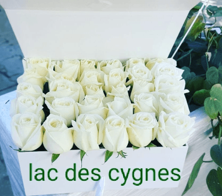 Coffret noir rectangulaire composé de : 25 roses+gypsophile