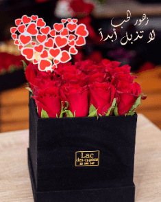 Coffret carré composé de : 16 roses