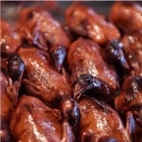 Dibi Pigeon + Alloco