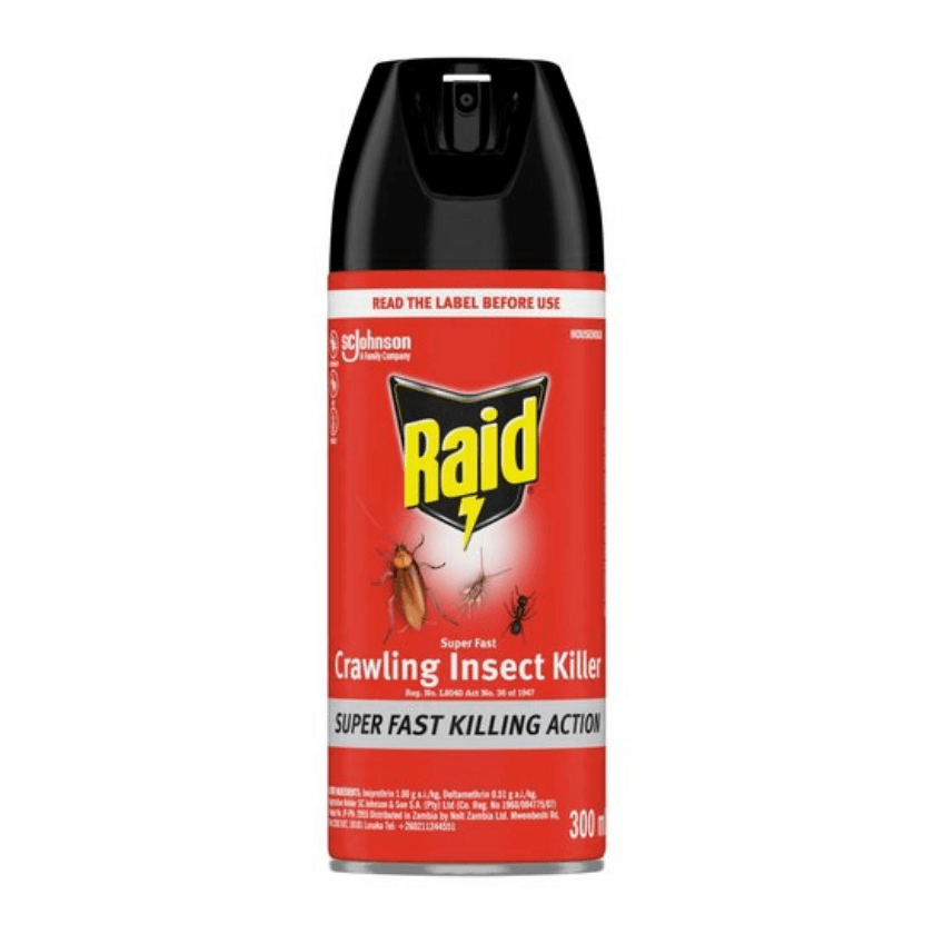 Raid Super Fast Insecticide 300ml
