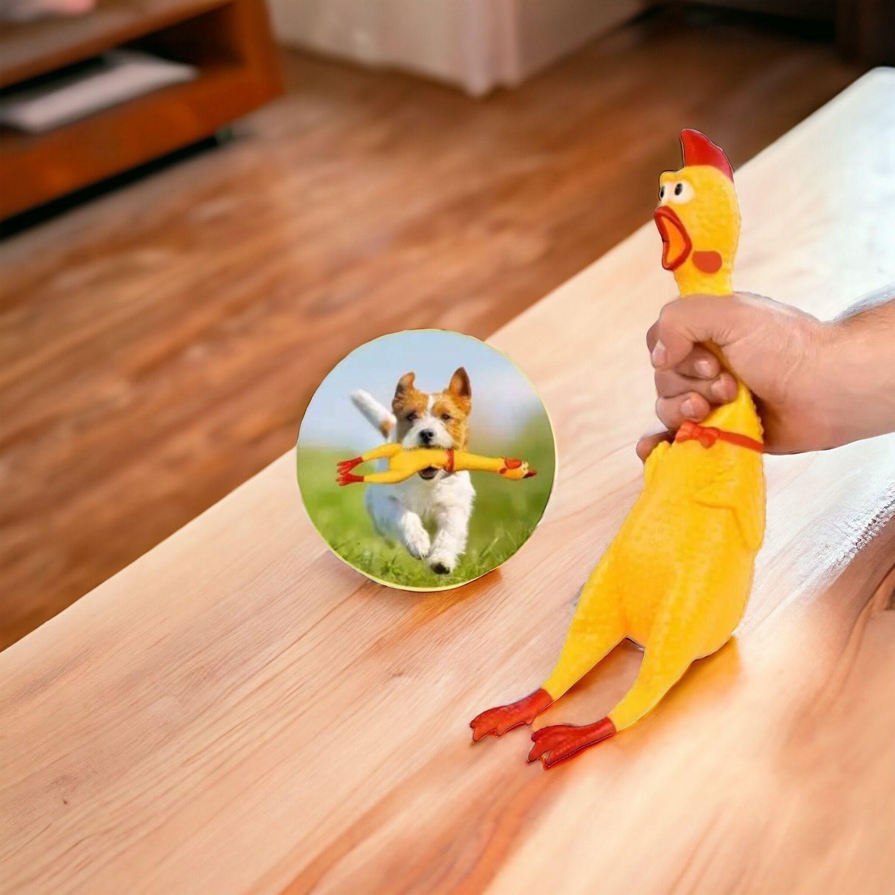 Rubber Chicken Toy jouet Populaire