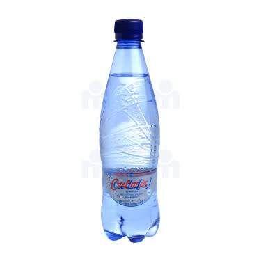 Oulmès Eau minérale gazeuse 50cl