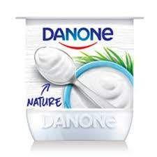 Danone Nature  Sans Sucre
