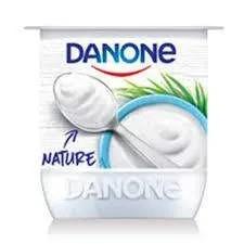 Danone Nature  Sans Sucre