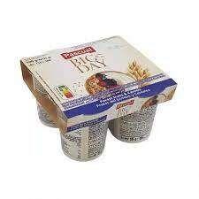 Pascual, Forest Fruit & Cereal Yogurt 500g (4 Pack)