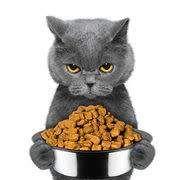 Croquettes pour chats / 1kg