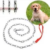 1 Piece Stainless Steel Dog