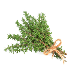 THYM - زعيترة - (U)