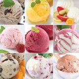 Sorbet & Crèmes Glacées 1L