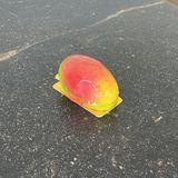 Trompe l'oeil Mango- 0 Sucre ajouté