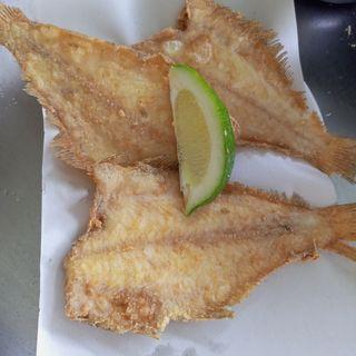 Friture Sole