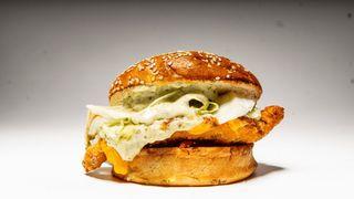 Crispy Chicken Burger