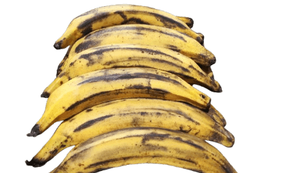Banane Plantain