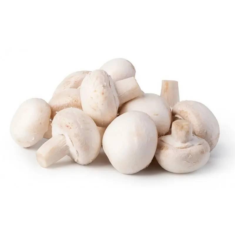 Champignons frais