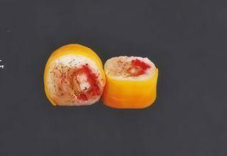 Mango Roll - Spéciaux 4 Pièces