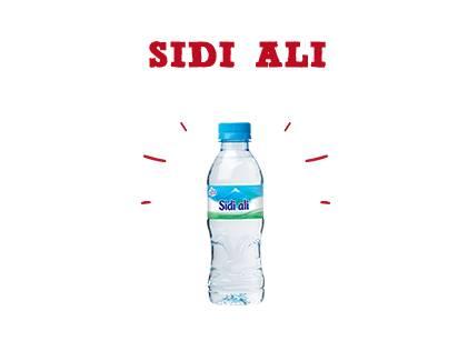 Sidi Ali
