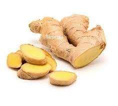 Gingembre