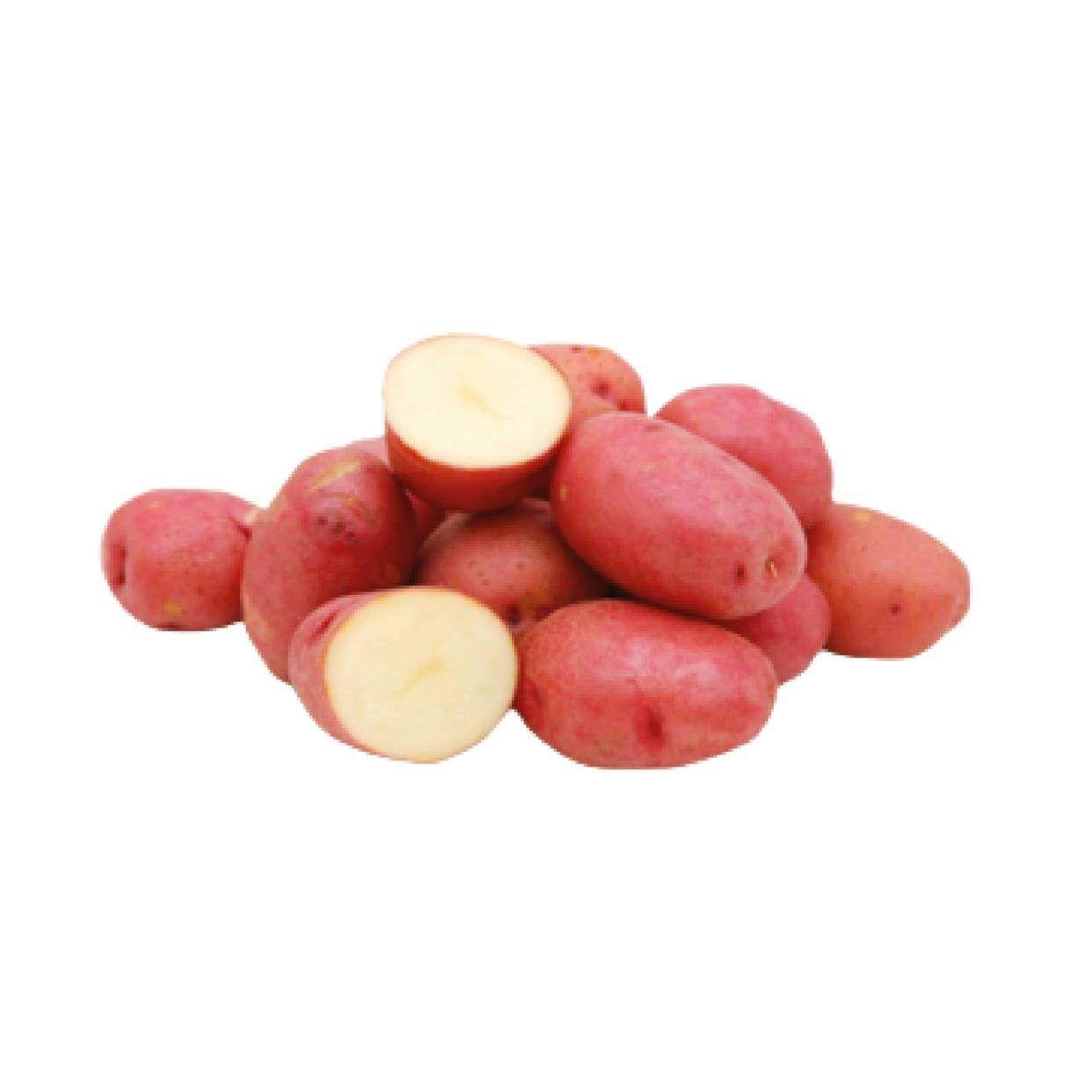Pomme Terre Rouge - 1/2KG