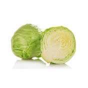 Choux Vert -  une piece