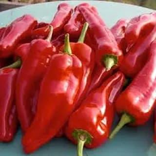 Poivron Kapi - 1/2 kg