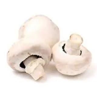 Champignon