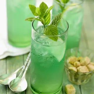 Mojito menthe vert