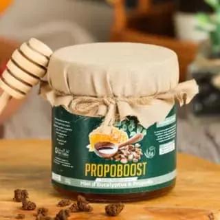 Propoboost