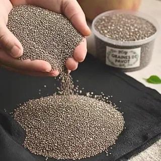 Graines de pavot naturelles