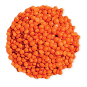 Lentille Rouge 500gr