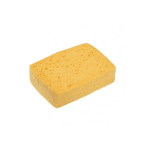 Éponge