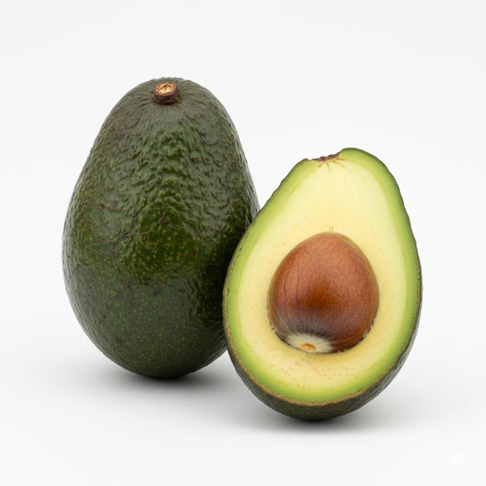 Avocat 1 pièce