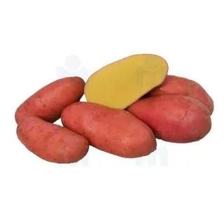 Pomme de terre frite rouge 1Kg - FILIÈRE M