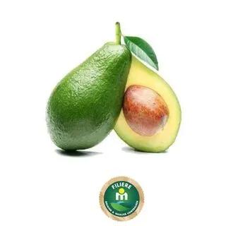 Avocat 1Kg - FILIERE M