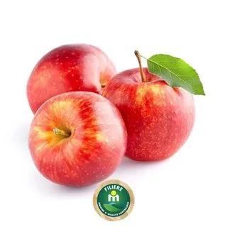 Pomme gala moyen calibre 1Kg - FILIERE M