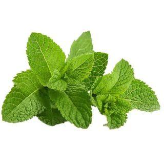 Menthe En Sachet Filère M 110G