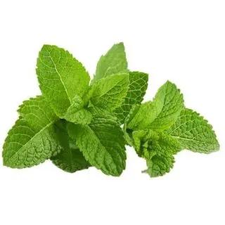 Menthe En Sachet Filère M 110G