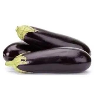 Aubergine ronde 500g - FILIERE M