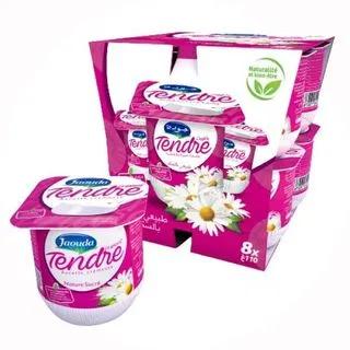 Yaourt brassé nature sucré Tendre 8x110g - JAOUDA