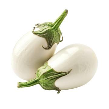 Aubergine Blanc