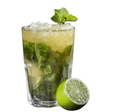 Mojito Menthe