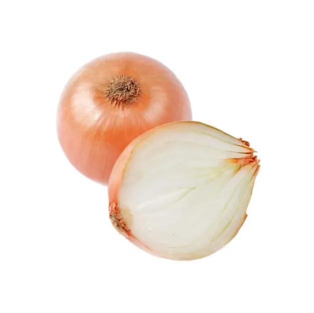 Oignons