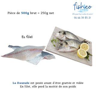 Filet de Daurade (500g)