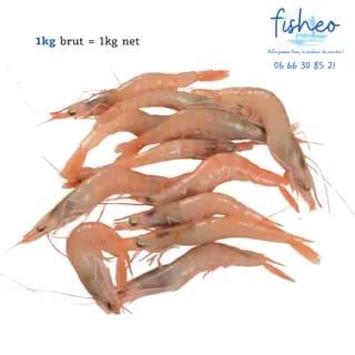 Crevettes Roses (1kg)