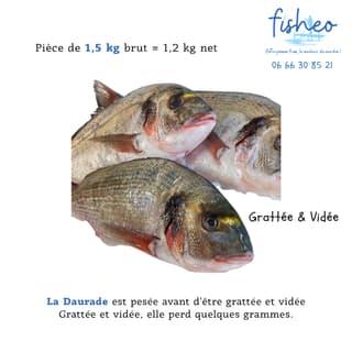 Daurade grattée et vidée (1,5kg)