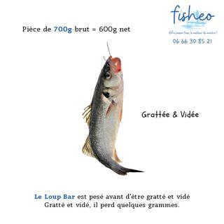 Loup Bar gratté et vidé (700g)